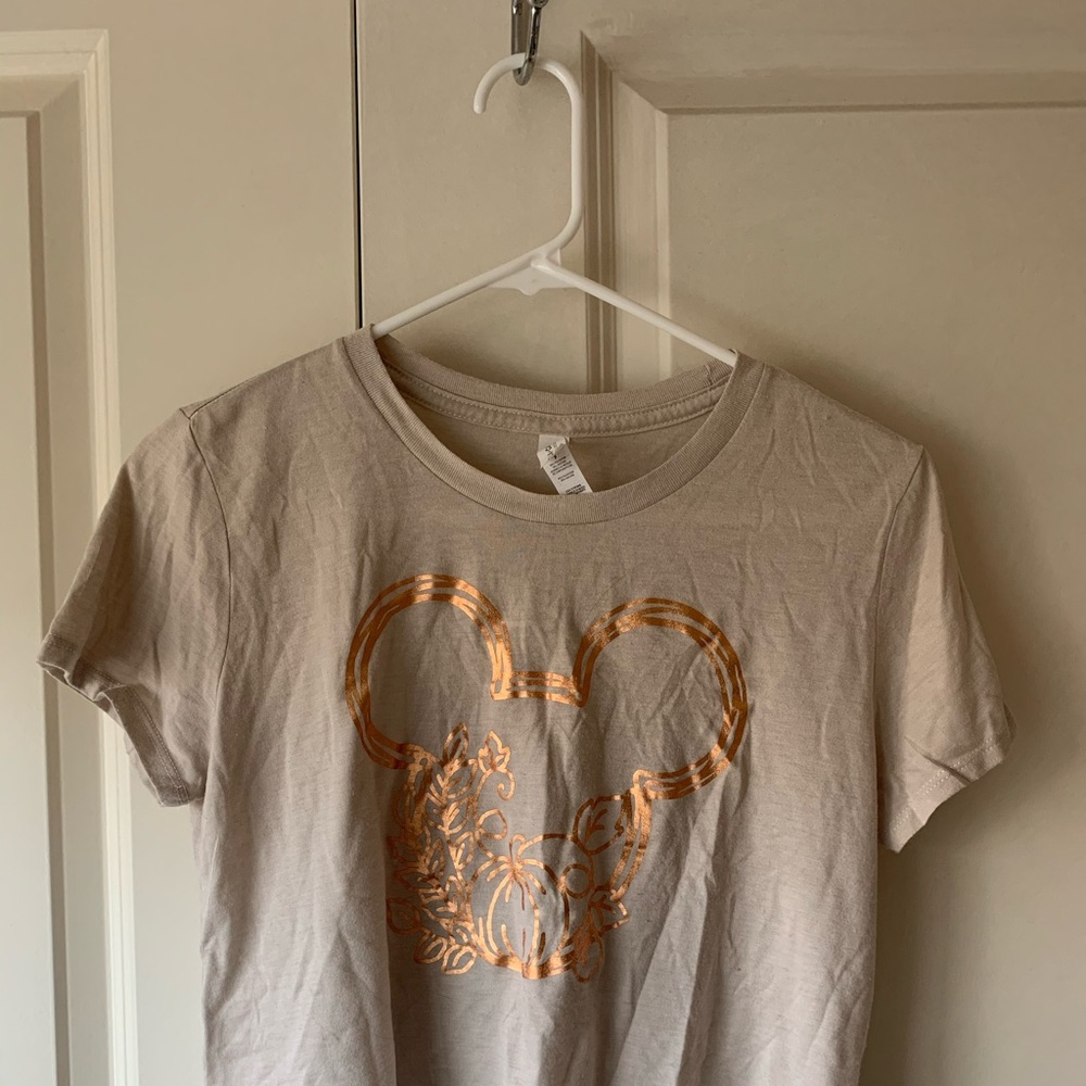 Mickey pumpkin fall crop top